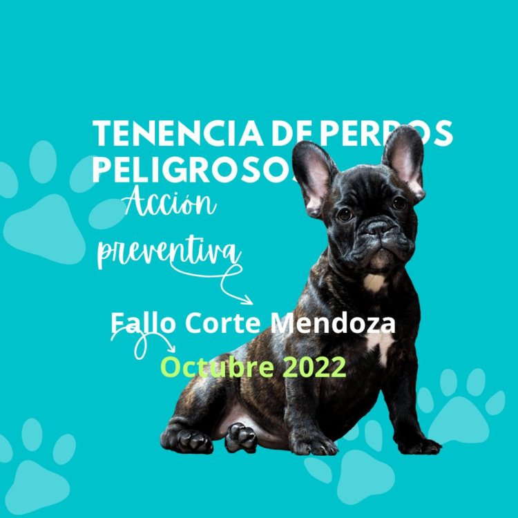 Prevención del daño : fallo corte mendoza